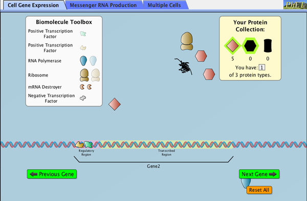 Gene Expression - The Basics Screenshot