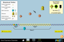 Screenshot of the simulation Gene Expression Essentials