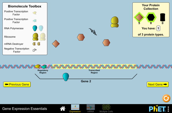 Gene Expression Essentials Screenshot